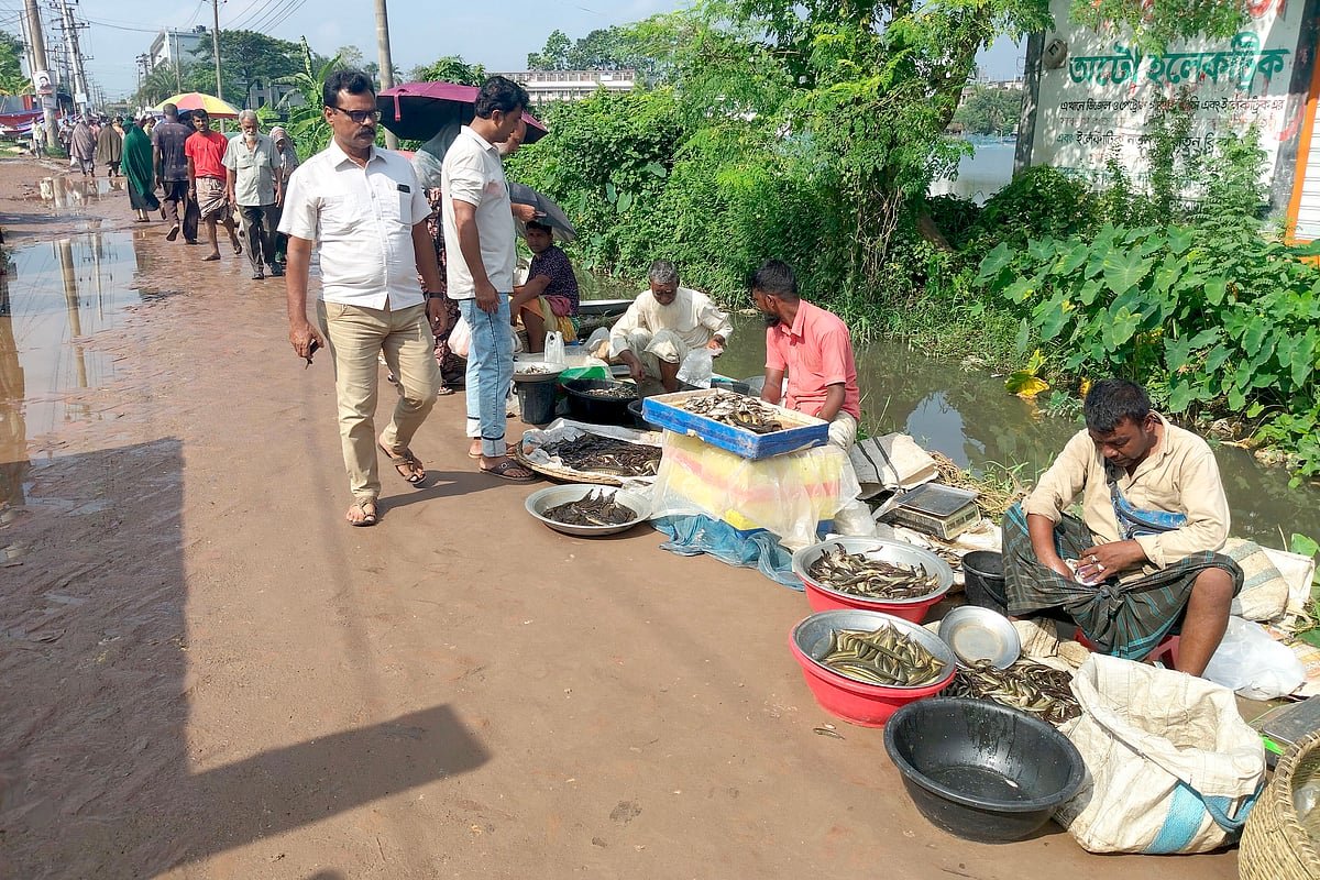 নদী, বিল ও জলার মাছে ভরপুর পাবনার মাসুম বাজার
