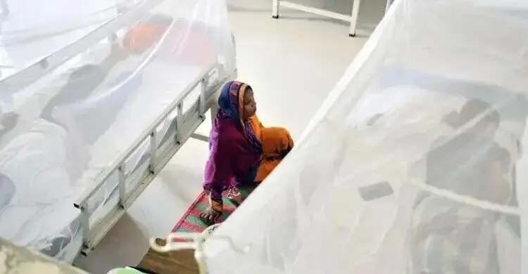 ডেঙ্গুতে আরও দুজনের মৃত্যু, হাসপাতালে ভর্তি ৯৯৬