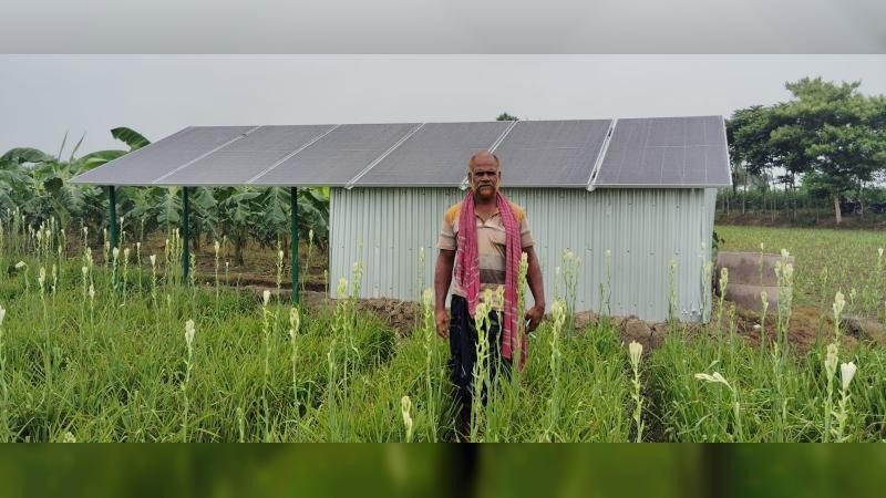 ঝিনাইদহে সৌরশক্তিতে বদলে যাচ্ছে কৃষি, কমছে সেচ খরচ