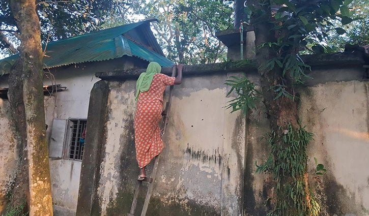 কাঁটাতারের বেড়ায় বন্দী বিধবার সংসার, দুই বছর নেই পানি বিদ্যুৎ