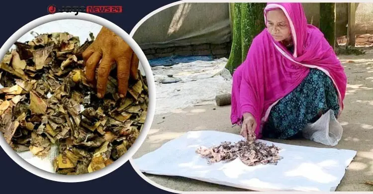 জর্দার কৌটায় ১০ বছরের সঞ্চয়, খুলতেই মনোয়ারার মাথায় হাত