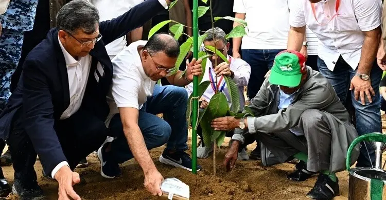 ২৫ কোটি বৃক্ষরোপণে ১৪ সদস্যের পরামর্শক পুল গঠন