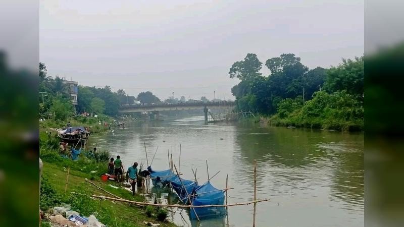 নাটোরের বারনই নদে বিপুল সংখ্যক মাছের মৃত্যু, তদন্ত কমিটি গঠন