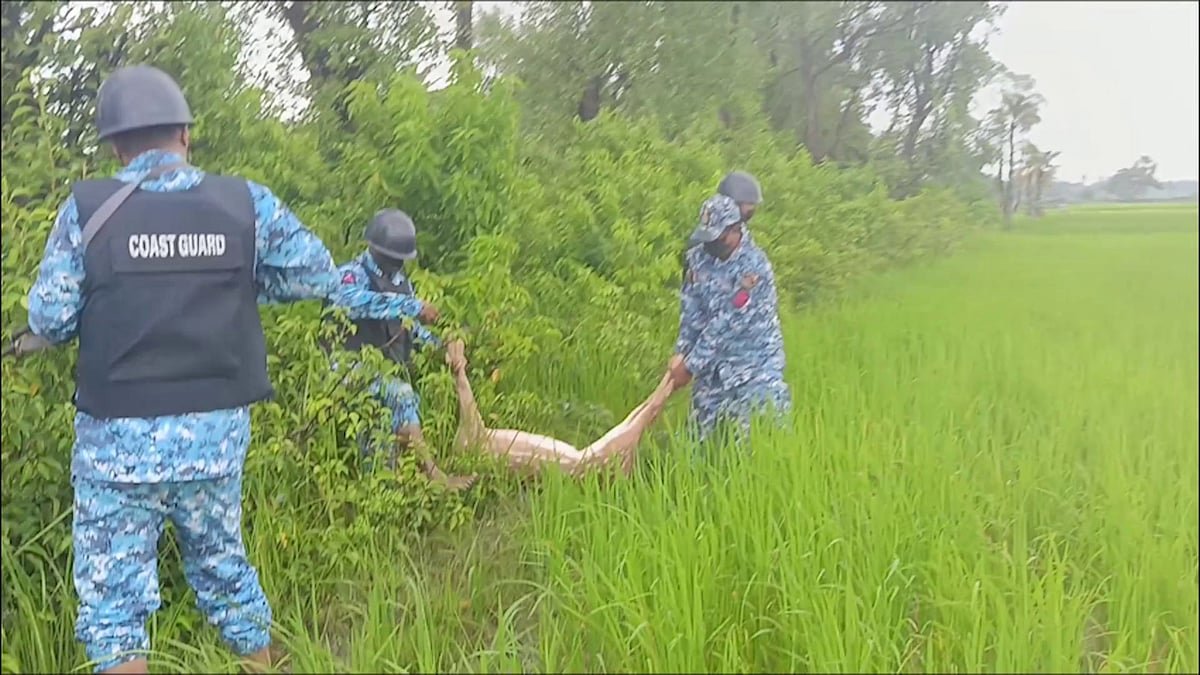নোয়াখালীতে জবাই করা চিত্রা হরিণ উদ্ধার, পালিয়ে গেলেন মাংস ব্যবসায়ীরা