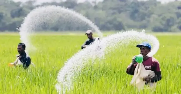 মরক্কো থেকে ৭০ হাজার টন সার কিনবে সরকার, ব্যয় ৬৮৮ কোটি টাকা