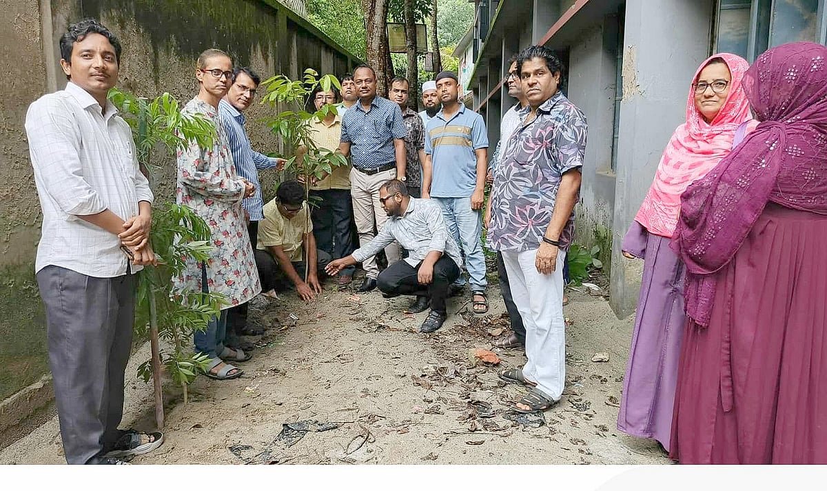 হাসপাতাল, শিক্ষাপ্রতিষ্ঠানসহ রাস্তার ধারে গাছের চারা রোপণ