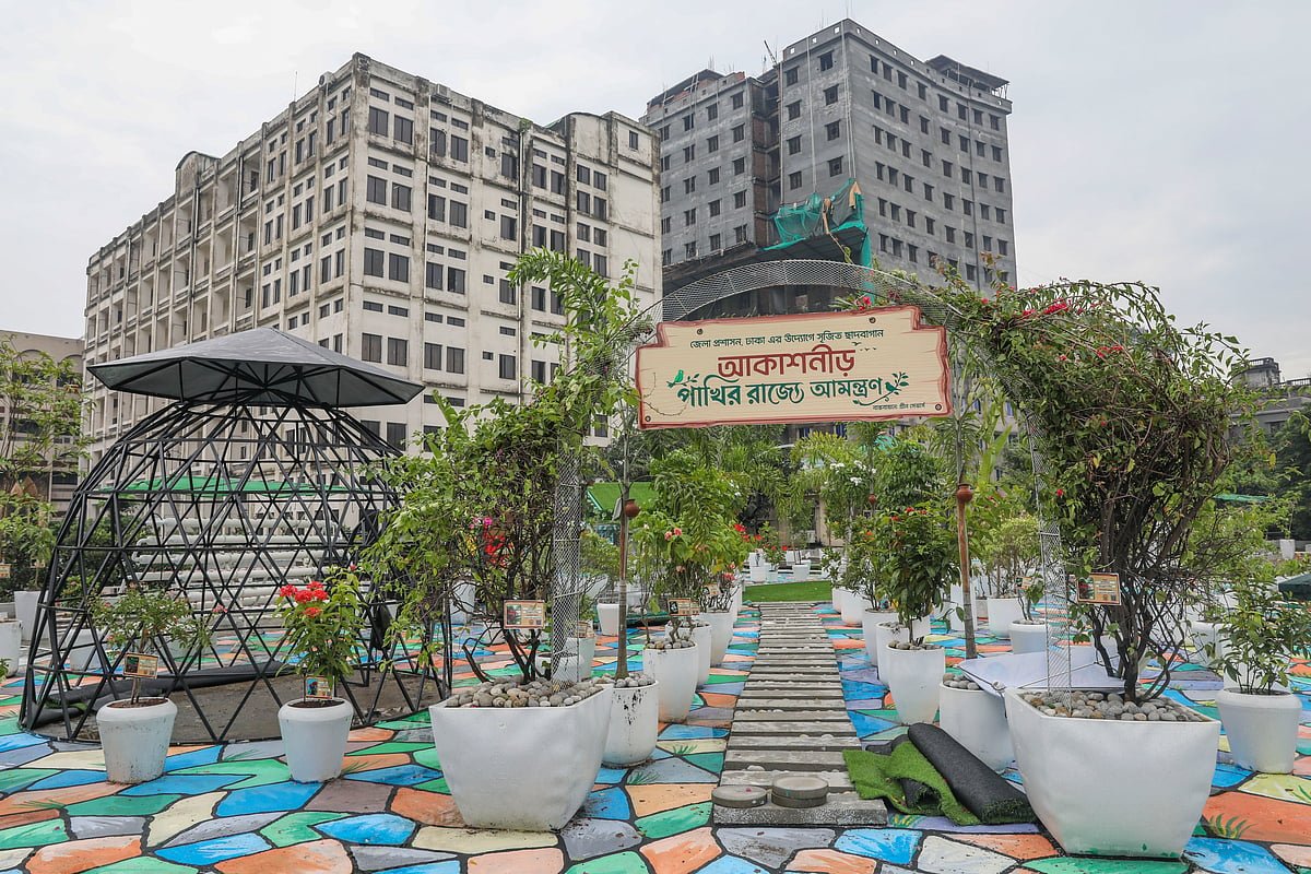 আকাশ নীড়ে পাখিদের ঠিকানা