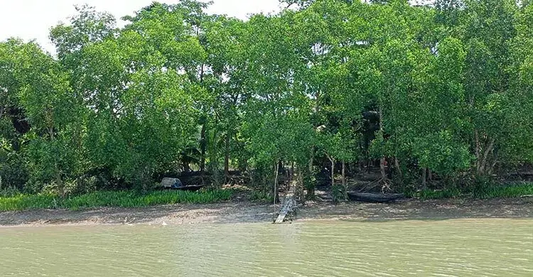 তিন মাস পর মঙ্গলবার খুলছে সুন্দরবনের দুয়ার, প্রকৃতিতে ফিরেছে সজীবতা
