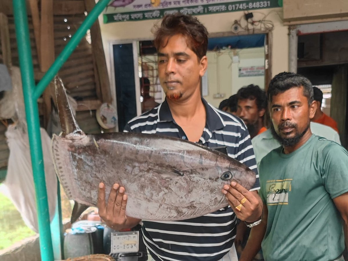 কুয়াকাটায় জেলের জালে ধরা পড়ল ‘অচেনা’ মাছ, দেখতে ভিড়