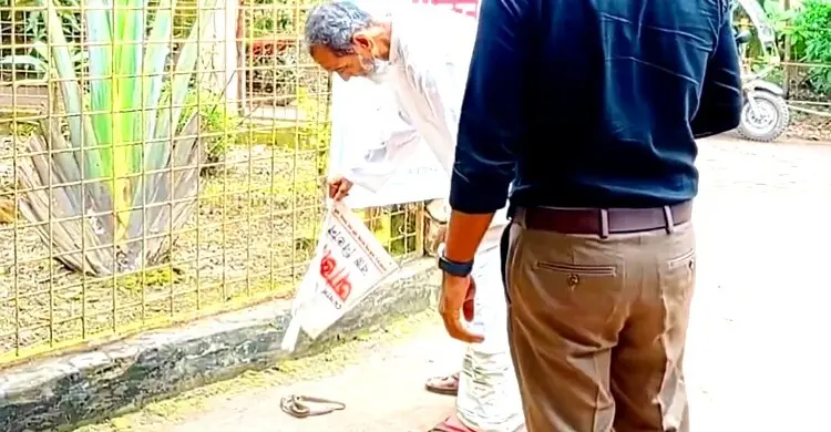 সাপ মেরে ব্যাগে ভরে স্ত্রীকে হাসপাতালে নিলেন স্বামী