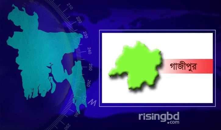 ঘাস কাটাকে কেন্দ্র করে ভাইয়ের হাতে ভাই নিহত 