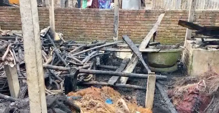 গাজীপুরে আগুনে পুড়লো গবাদি পশু ও বসতঘর