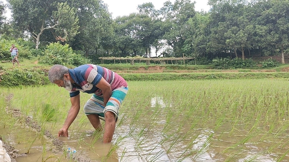 কৃষিজমিতে সৌরবিদ্যুৎকেন্দ্র করতে চান এমপিপত্নী, আপত্তির ২৭ দিন পরেই পেলেন অনাপত্তিপত্র