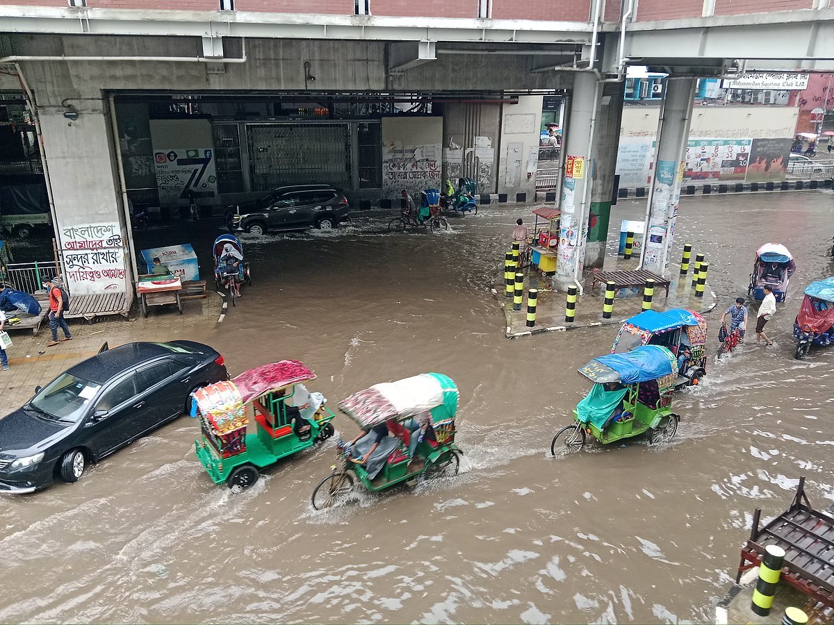পাঠকের ছবি (২০ সেপ্টেম্বর ২০২৬)