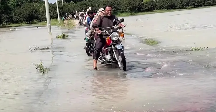 পদ্মার পানিতে ডুবছে সড়ক, প্লাবনের শঙ্কায় ১৫ চরের মানুষ