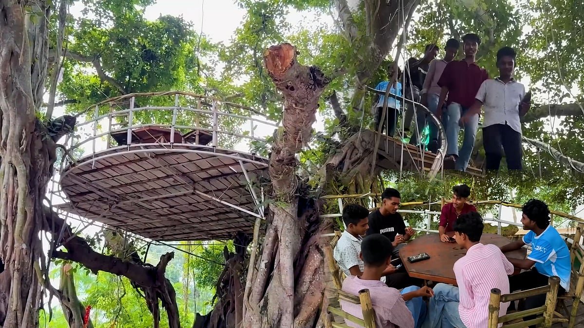 বটগাছের ডালে রেস্তোরাঁ, কী আছে এখানে