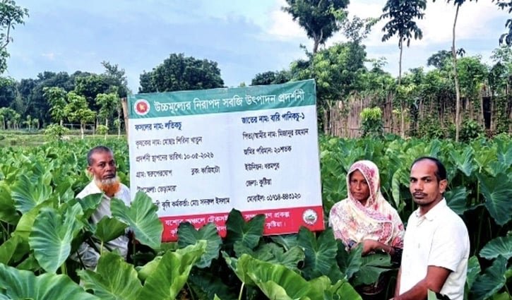 লতিকচুতে গৃহিণী শিরিনার সাফল্য