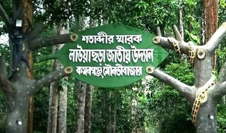 সংকটে জাতীয় উদ্যান লাউয়াছড়া, লোকালয়ে বন্যপ্রাণী