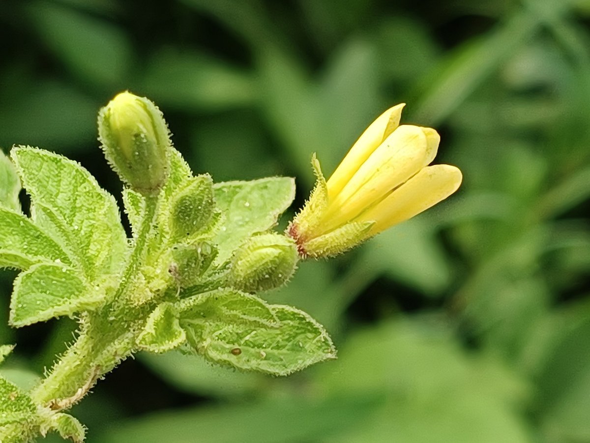 একঝলক (১৩ সেপ্টেম্বর ২০২৬)