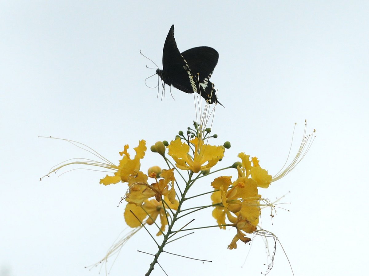 একঝলক (৬ সেপ্টেম্বর ২০২৬)