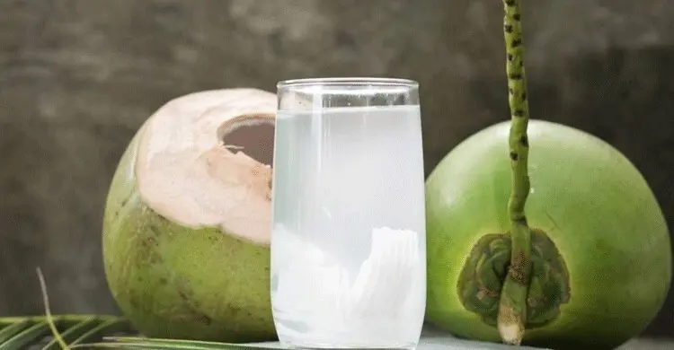 ডেঙ্গু হলে ডাবের পানি পান করা কি সত্যিই জরুরি