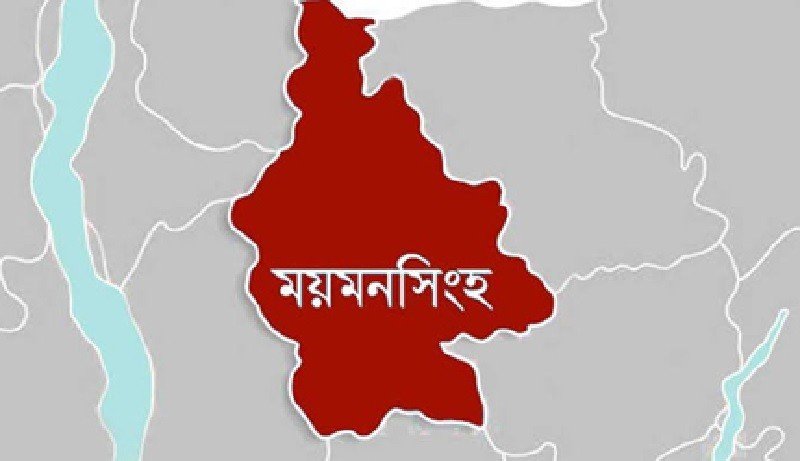 ভালুকায় অটোরিকশার ধাক্কায় শিশু শিক্ষার্থী নিহত