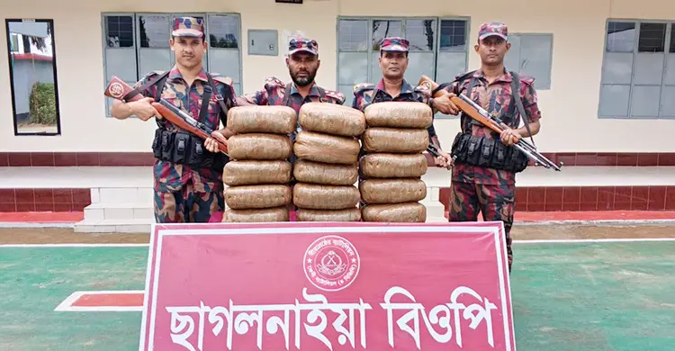 ফেনীতে ভারতীয় শাড়ি-লেহেঙ্গা ও ৩০ কেজি গাঁজা জব্দ