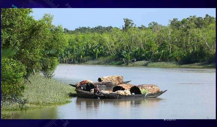 সুন্দরবনের ঢাংমারী খালে কুমিরের আক্রমণ