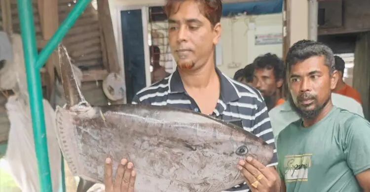 কুয়াকাটায় জেলের জালে বিরল ‘স্লেন্ডার সানফিশ’ দেখতে ভিড়