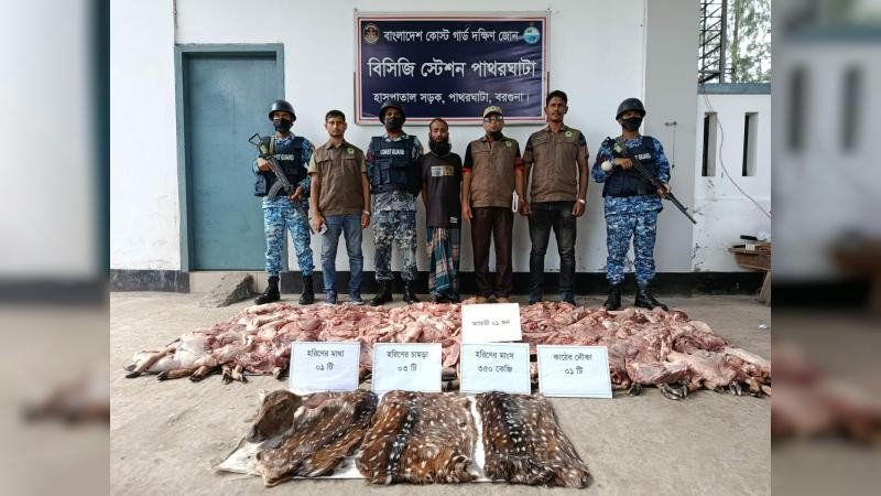 বরগুনায় ৩৫০ কেজি হরিণের মাংসসহ আটক ১