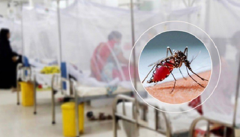 ডেঙ্গুতে আরও ৬ জনের মৃত্যু, হাসপাতালে নতুন ভর্তি ১৫৯৩