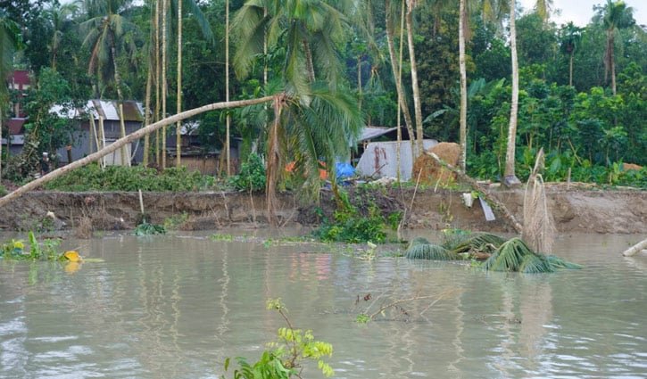 মধুমতি-চিত্রা নদীর ভাঙনে বিলীন হচ্ছে বিস্তীর্ণ জনপদ