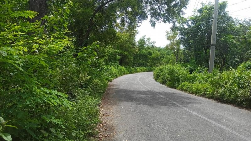 সড়কের দুই পাশে ঝোপঝাড়, প্রতিনিয়ত ঘটছে ডাকাতি-ছিনতাই 
