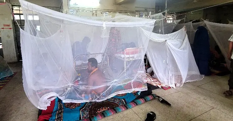 ময়মনসিংহে ডেঙ্গুতে আরও ১ মৃত্যু, হাসপাতালে রোগীর সঙ্গে বাড়ছে ভোগান্তি