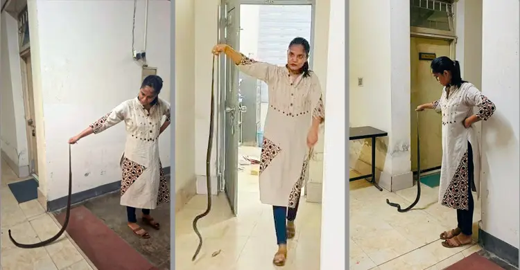 জাবি অধ্যাপকের কক্ষ থেকে উদ্ধার হলো ৫ ফুট লম্বা সাপ