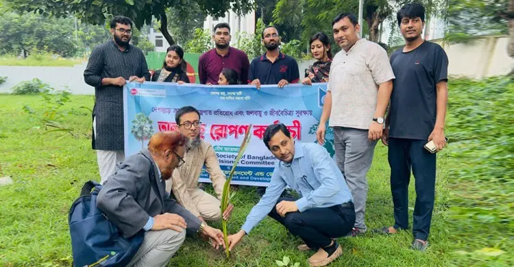 বজ্রপাতের ঝুঁকি কমাতে তালগাছের চারা রোপণ