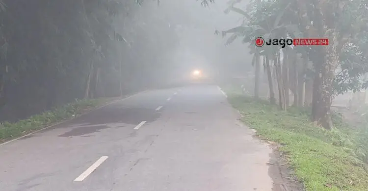 পঞ্চগড়ে শরতের আকাশে ভোরে হঠাৎ ঘন কুয়াশা