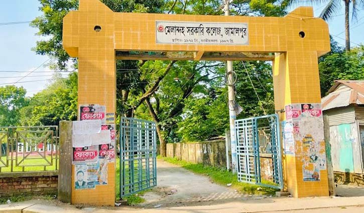 কলেজের গাছ কেটে বিক্রি করায় ছেলে বরখাস্ত, বাবাকে বদলির সুপারিশ