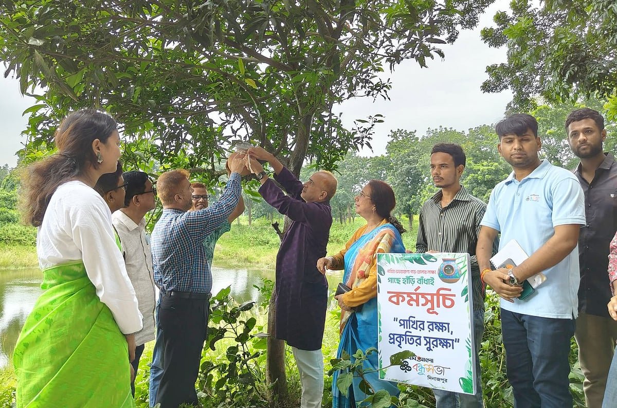 পাখির জন্য ভালোবাসা
