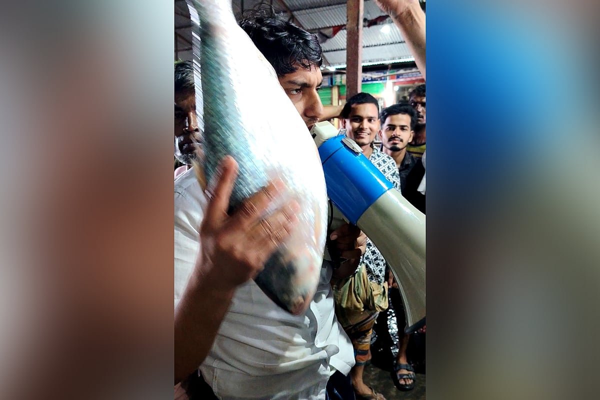মেঘনায় ধরা পড়ল তিন কেজি ওজনের ইলিশ, ১০ হাজার ৯০০ টাকায় বিক্রি