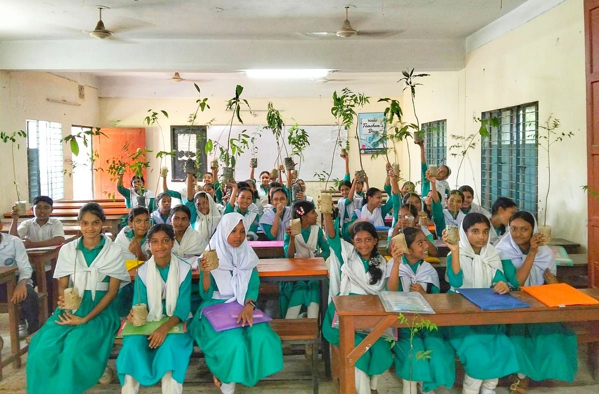 নোয়াখালীতে গাছ লাগানোর উৎসব