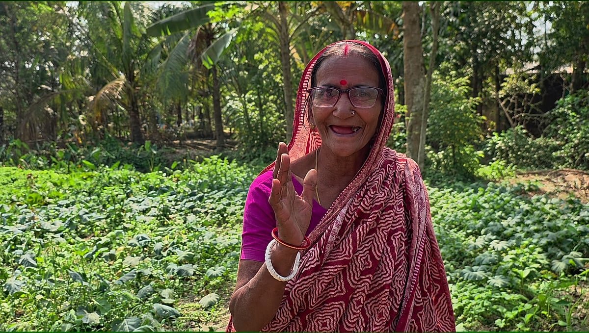 ধাত্রী থেকে যেভাবে জলবায়ু-সহিষ্ণু ফসলের চাষি হলেন রেনুকা