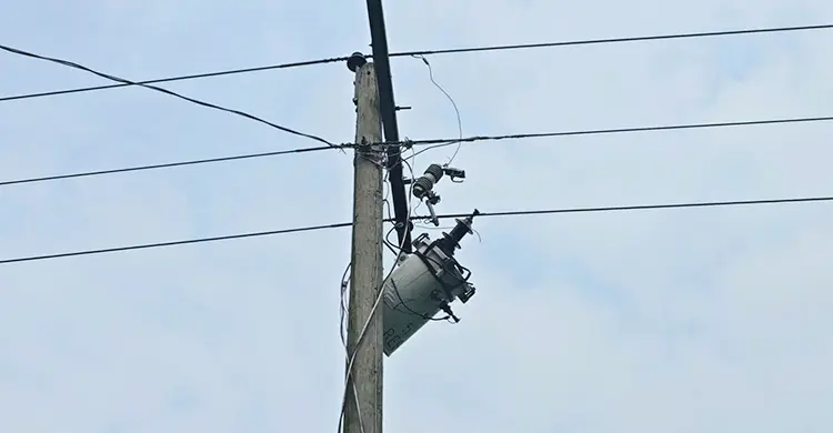 ট্রান্সফরমার চুরি করতে গিয়ে মৃত্যু, ধানখেতে পড়ে ছিল মরদেহ